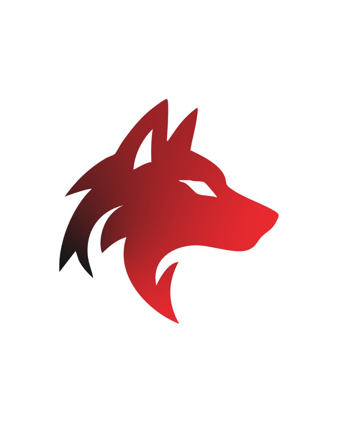 Photo de l'établissement