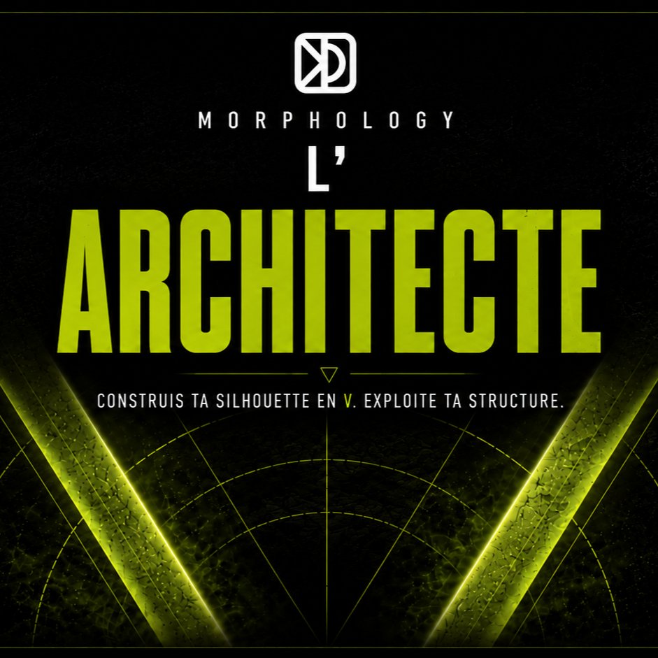Photo de Pierre Lesueur · Morphology