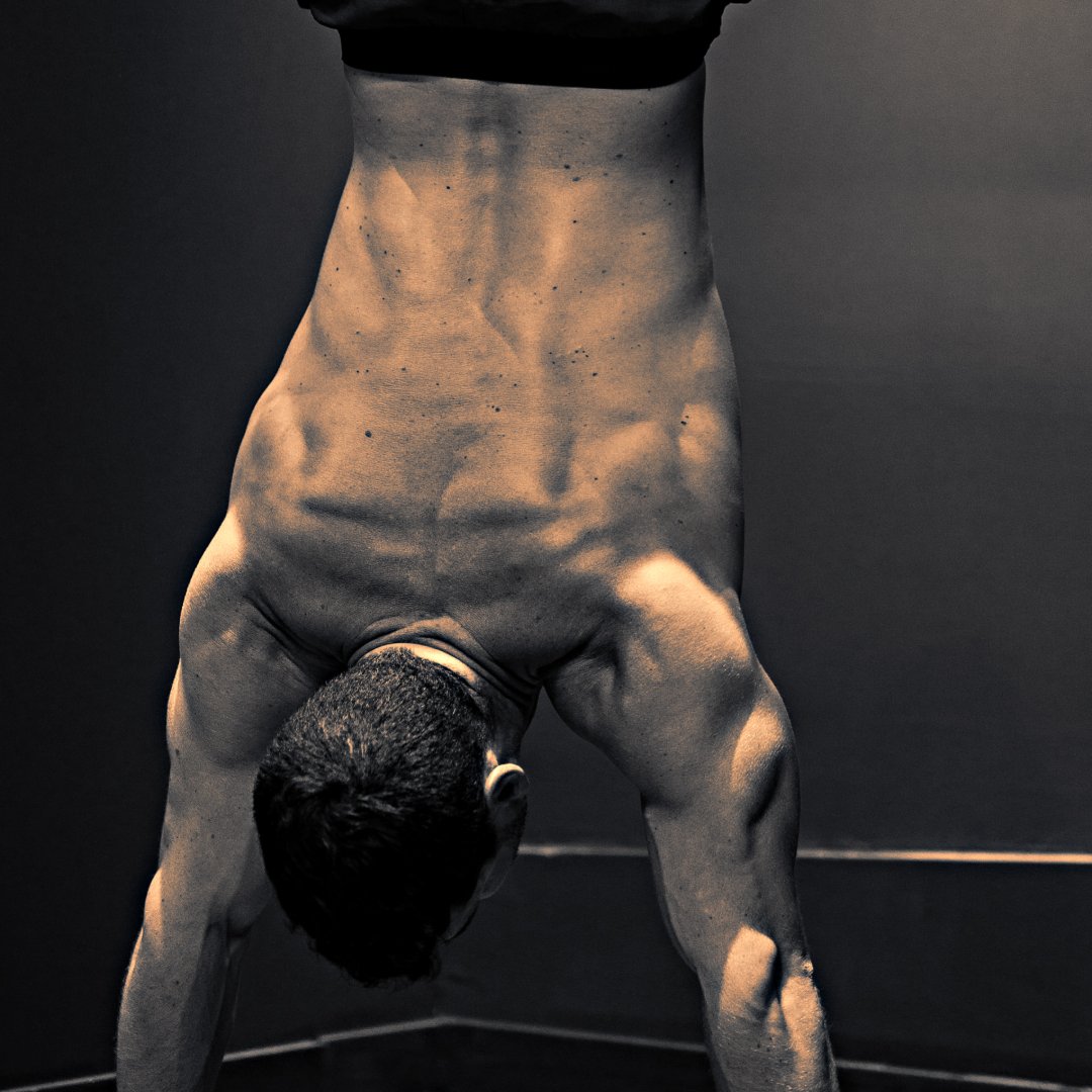 Photo de PRIMAL GYM                     NICOLAS LORY